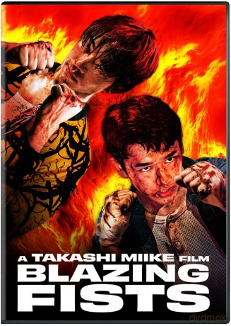 Blazing Fists [DVD]