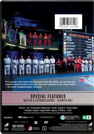 Cobra Kai - Season 06 [DVD]