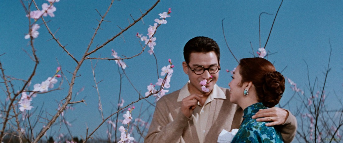 Eclipse Series 48: Kinuyo Tanaka Directs (The Criterion Collection) [Blu-Ray]