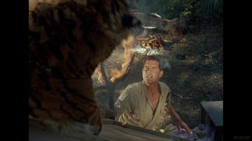 Fritz Lang's Indian Epic: The Tiger of Eschnapur and The Indian Tomb [Blu-Ray]