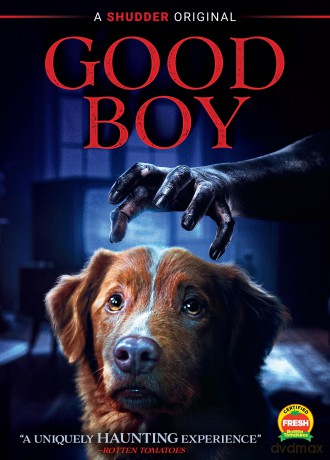 Good Boy [DVD]