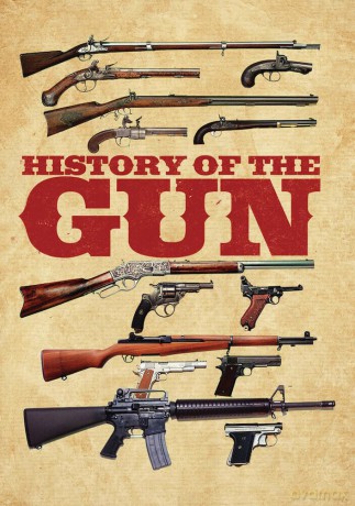 History of the Gun [DVD]