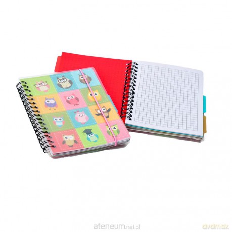 Notes A6 na spirali z gumką i przekł. 3szt. linia