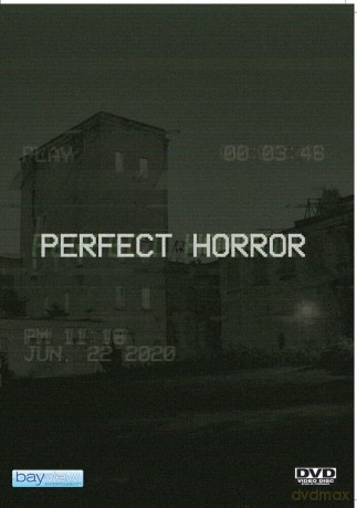 Perfect Horror [DVD]