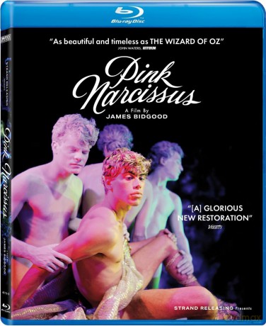 Pink Narcissus [Blu-Ray]