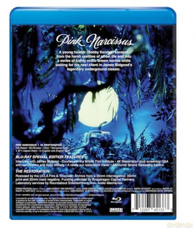 Pink Narcissus [Blu-Ray]