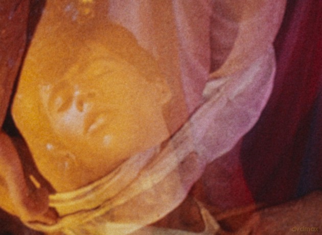 Pink Narcissus [Blu-Ray]