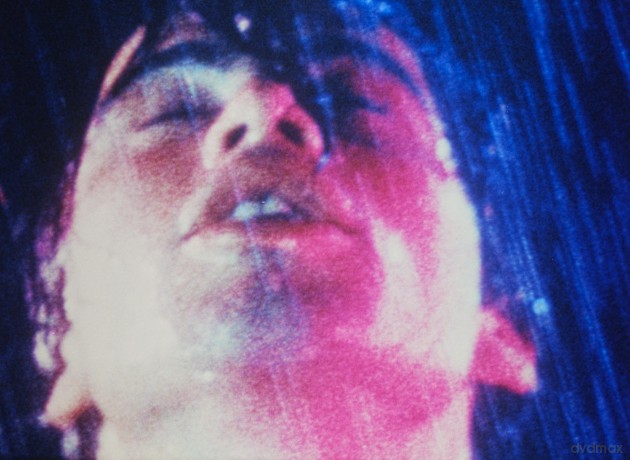 Pink Narcissus [Blu-Ray]