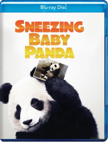 Sneezing Baby Panda [Blu-Ray]