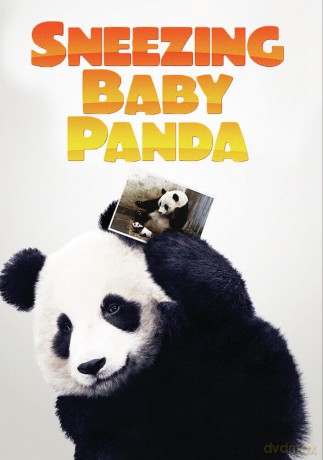 Sneezing Baby Panda [DVD]