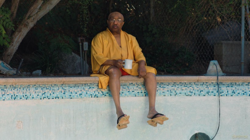 Swamp Dogg Gets His Pool Painted [Blu-Ray]
