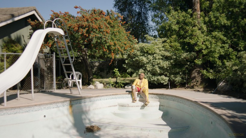 Swamp Dogg Gets His Pool Painted [Blu-Ray]