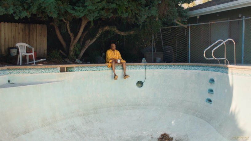 Swamp Dogg Gets His Pool Painted [Blu-Ray]
