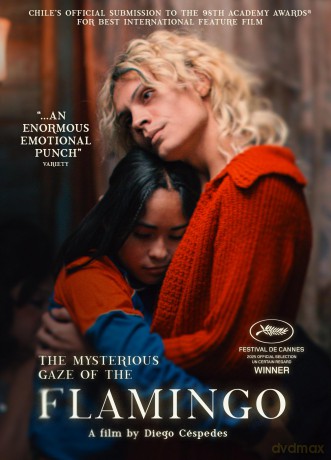 The Mysterious Gaze Of The Flamingo [Blu-Ray]