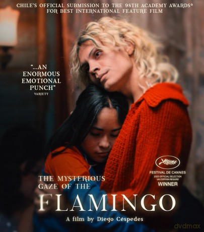 The Mysterious Gaze Of The Flamingo (Tajemnicze spojrzenie flaminga) [Blu-Ray]