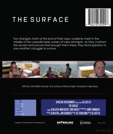 The Surface [Blu-Ray]