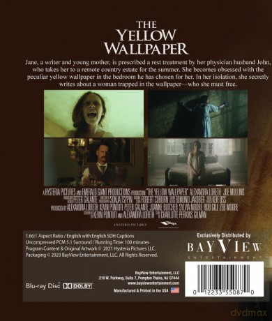 The Yellow Wallpaper [Blu-Ray]
