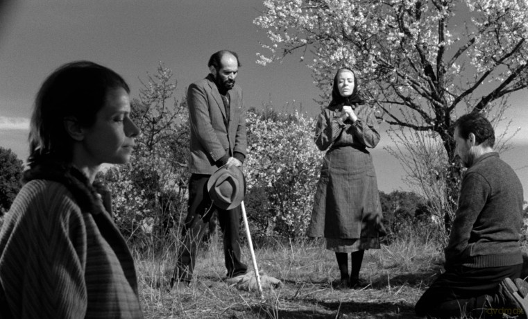 Viridiana (The Criterion Collection) [Blu-Ray]