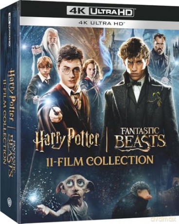 Wizarding World 11-Film Collection [Blu-Ray 4K]