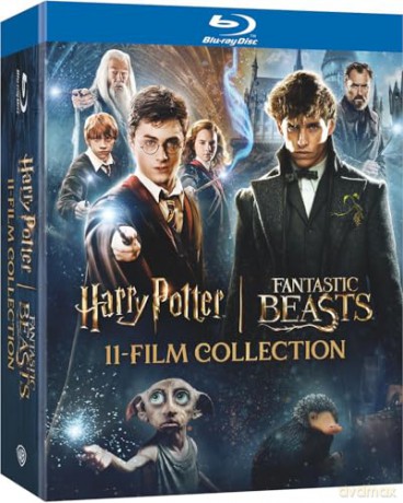 Wizarding World 11-Film Collection [Blu-Ray]
