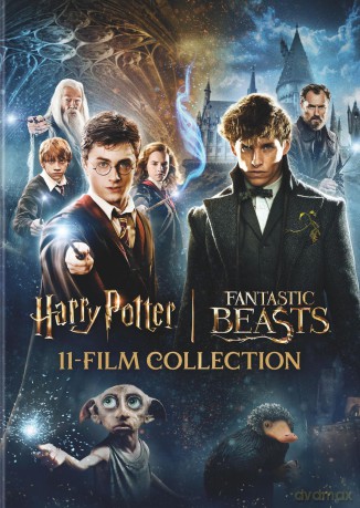 Wizarding World 11-Film Collection [DVD]
