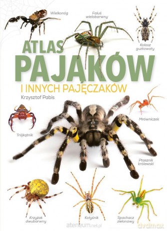 Atlas pająków i innych pajęczaków - Krzysztof Pabis [KSIĄŻKA]