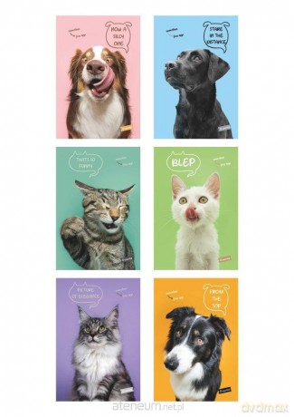 Zeszyt A5/60K kratka Pets (10szt)