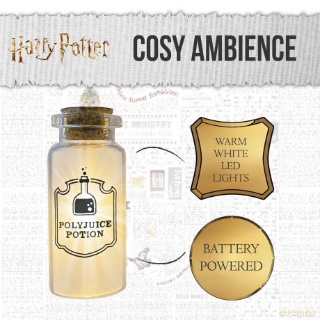Harry Potter zestaw lampek ozdobnych LED (długość: 1,65 cm) / Harry Potter Light - String LED (length: 1,65 cm)