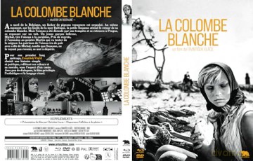Gołąb [Blu-Ray]+[DVD]
