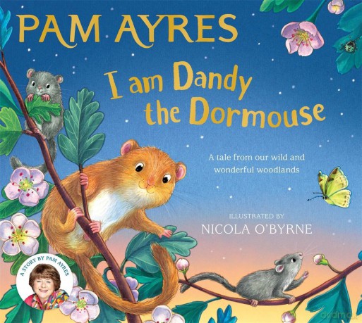 I am Dandy the Dormouse - Pam Ayres [KSIĄŻKA]