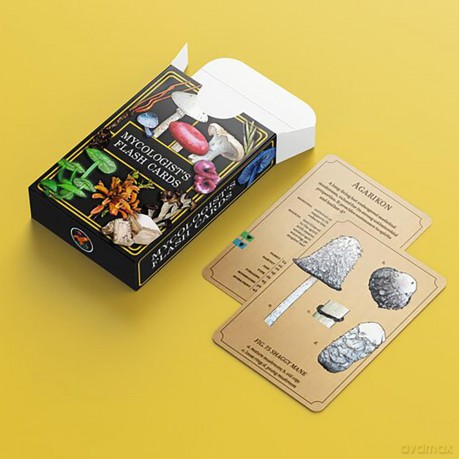 Renegade Originals: Mycologist's Primer Flash Cards *English Version*
