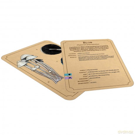 Renegade Originals: Mycologist's Primer Flash Cards *English Version*