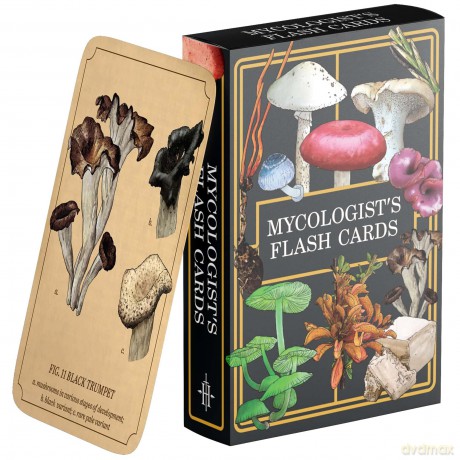 Renegade Originals: Mycologist's Primer Flash Cards *English Version*