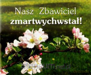 Perełka 158 - Nasz Zbawiciel zmartwychwstał! [KSIĄŻKA]