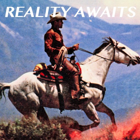 The Strokes: Reality Awaits [Winyl]