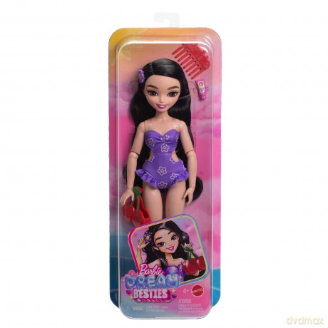 Mattel Barbie: Dream Besties - Renee Doll (JGH86)