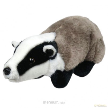 Borsuk 30 cm