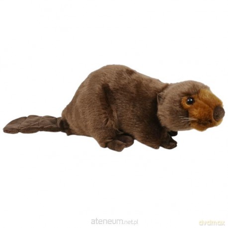 Bóbr 26 cm
