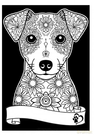 Kolorowanka Welwetowa A4 Jack Russell Terrier
