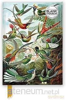 Notatnik A5 gładki Kolibry Ernst Haeckel