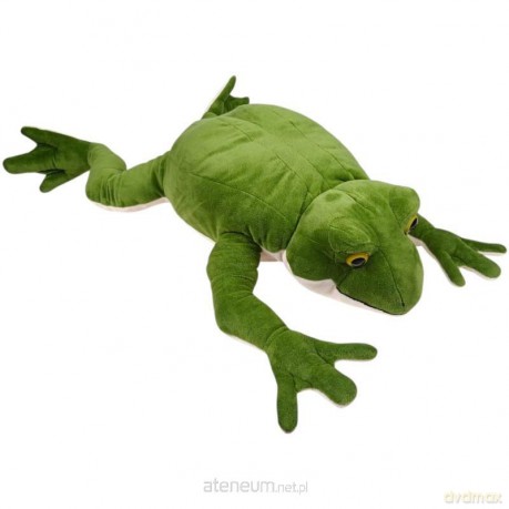 Żaba 60 cm