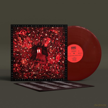 Iron & Wine: Hens Teeth [Winyl]