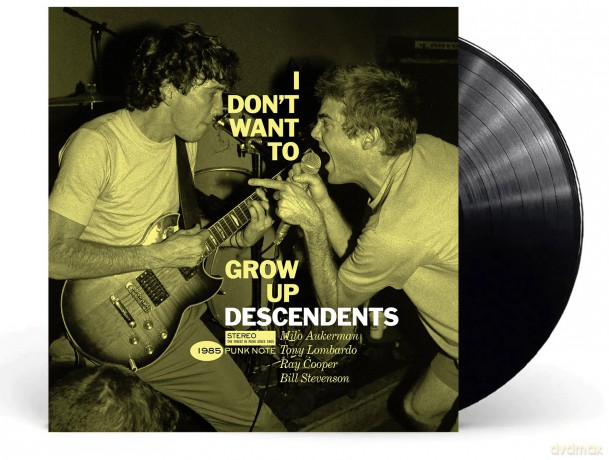 Descendents: I Dont Want To Grow Up (Punk Note) [Winyl]