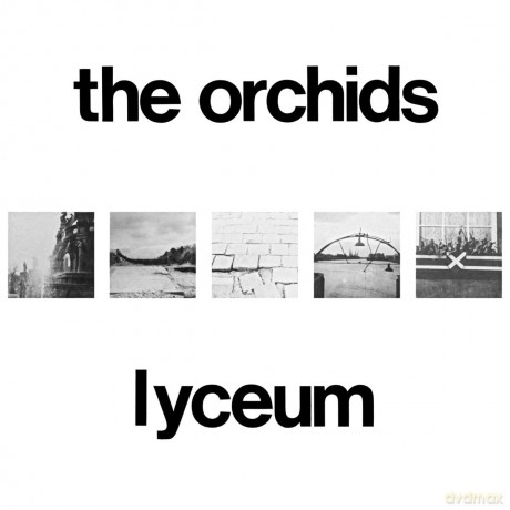 Orchids: Lyceum [Winyl]