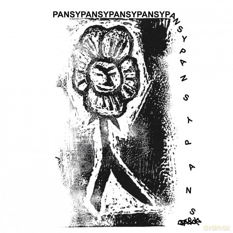 Pansy: Skin Graft [CD]