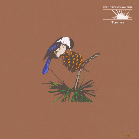 Peel Dream Magazine: Taurus (Yellow Cassette) [KASETA]
