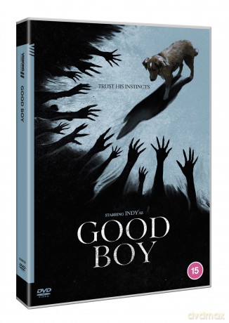 Good Boy [DVD]