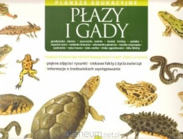 Płazy i gady. Plansze edukacyjne [KSIĄŻKA]
