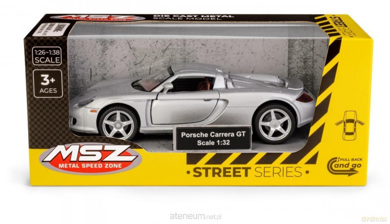 Porsche Carrera GT Silver