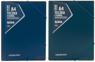 Teczka z gumką A4 PP mix kolorów